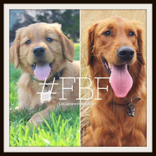 cedar-annie-tanner-framed