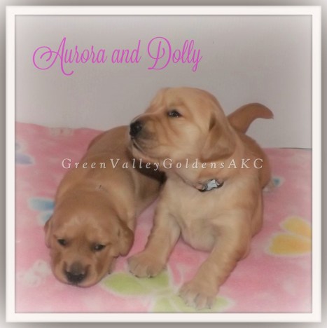 aurora-and-dolly-framed