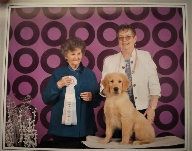 18880185_244852572664101_2252501451992602088_o