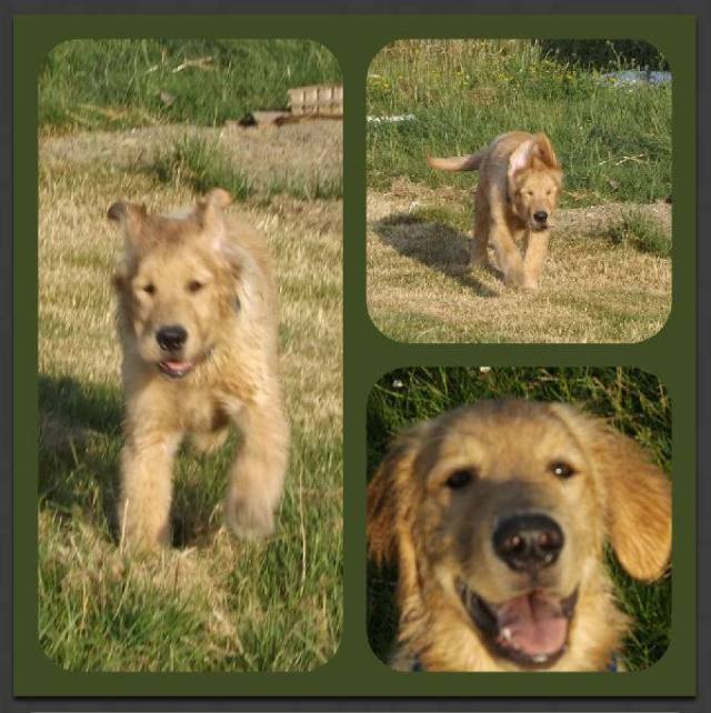 19437780_254616488354376_3918478716145840396_n