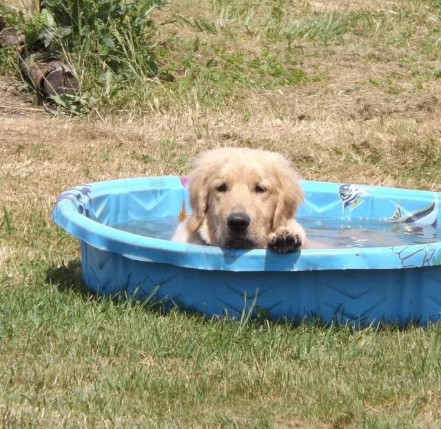 20017560_262209404261751_1946382395412294591_o