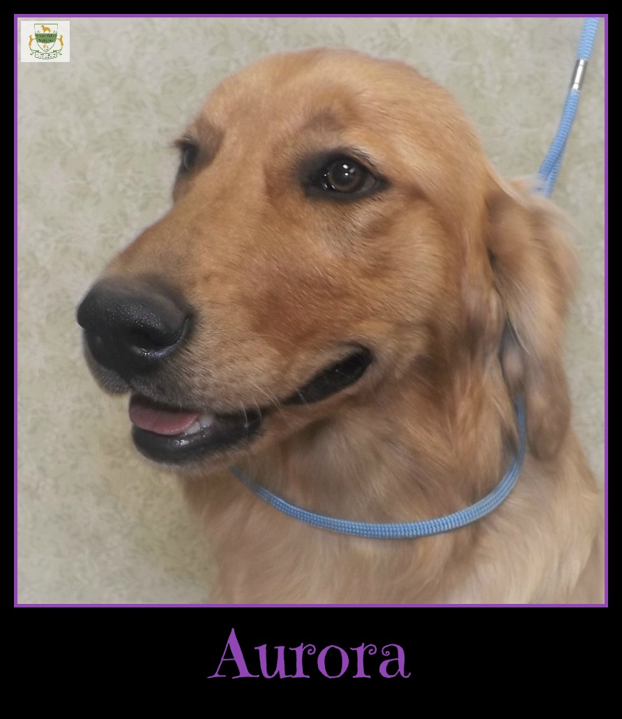 20170731Aurora1framedp