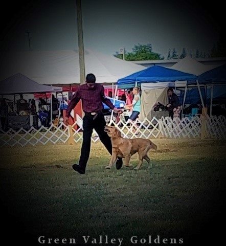 20953328_277697239379634_8344926276522041955_n