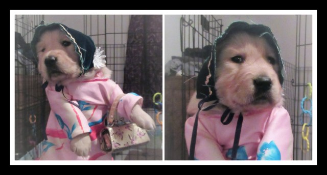 aurora dressedtogo.jpg