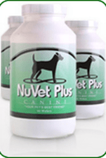 Nutritional Supplements for Dogs