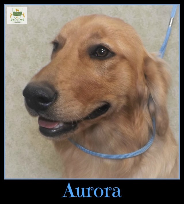 20170731Aurora1framed