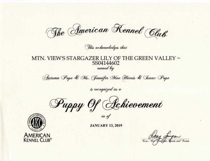 2019 Trixie AKC puupy achievement pic