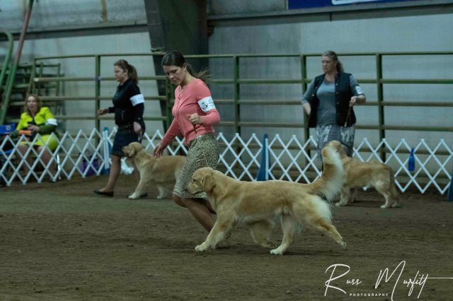 56314646_10219392591904313_8386284826419789824_o