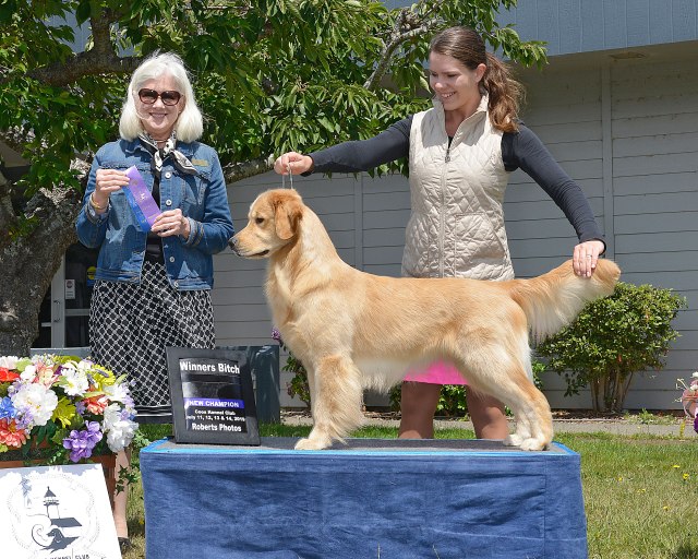 robertsphotos__dsc4362 (1)